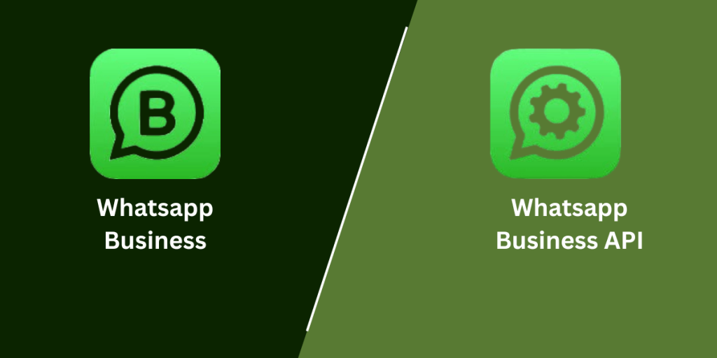 Whatsapp Business or Whatsapp Business API for Bulk Messages